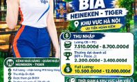 TUYỂN PG BIA HEINEKEN – TIGER TẠI HÀ NỘI