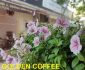 Tuyển nhân viên phục vụ bàn ca chiều Tuyển nhân viên phục vụ bàn ca chiều