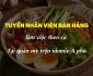 Tuyển nhân viên bán hàng theo ca quán mì trộn Tuyển nhân viên bán hàng theo ca quán mì trộn