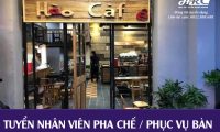 Tuyển nhân viên phục vụ, pha chế – Cà Phê Hào Tuyển nhân viên phục vụ, pha chế – Cà Phê Hào