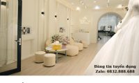 Tuyển nhân viên hỗ trợ thử váy cưới – Freida Bridal Tuyển nhân viên hỗ trợ thử váy cưới – Freida Bridal