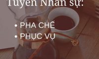 Tuyển nhân viên pha chế, phục vụ bàn parttime Tuyển nhân viên pha chế, phục vụ bàn parttime
