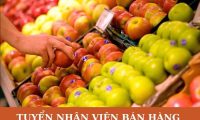 Tuyển nhân viên bán hàng – Vườn Xanh Farm Fresh