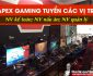 Tuyển nhân viên kế toán, bếp, quản lý – Quán Apex Gaming Tuyển nhân viên kế toán, bếp, quản lý – Quán Apex Gaming