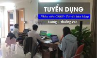 Tuyển nhân viên chăm sóc khách hàng – Cty CP An Nam Tuyển nhân viên chăm sóc khách hàng – Cty CP An Nam
