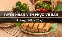 Tuyển nhân viên phục vụ lương 25k/h – Hệ thống bún đậu 29 Tuyển nhân viên phục vụ lương 25k/h – Hệ thống bún đậu 29