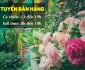 Tuyển nhân viên bán hàng – Búp shop Tuyển nhân viên bán hàng – Búp shop