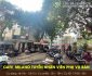 Tuyển nhân viên phục vụ bàn – Cafe Milano Tuyển nhân viên phục vụ bàn – Cafe Milano