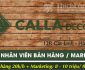 Tuyển nhân viên bán hàng, Digital Marketing – Showroom Calla Decor Tuyển nhân viên bán hàng, Digital Marketing – Showroom Calla Decor