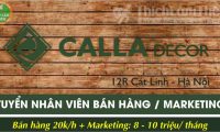 Tuyển nhân viên bán hàng, Digital Marketing – Showroom Calla Decor Tuyển nhân viên bán hàng, Digital Marketing – Showroom Calla Decor