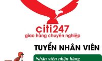 Tuyển nhân viên đối chiếu, nhận hàng – Công ty Citi247 Tuyển nhân viên đối chiếu, nhận hàng – Công ty Citi247
