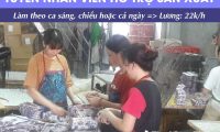 Tuyển nhân viên hỗ trợ sản xuất nến – Công ty Đông Giang Tuyển nhân viên hỗ trợ sản xuất nến – Công ty Đông Giang