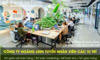 Tuyển nhân viên các vị trí lương cao- Công ty TNHH Thương Mại DV Hoàng Linh Tuyển nhân viên các vị trí lương cao- Công ty TNHH Thương Mại DV Hoàng Linh