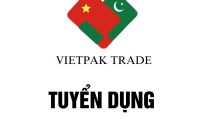 Tuyển nhân viên admin – Công ty TNHH TM Việt Nam Pakistan