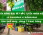 Tuyển nhân viên giao hàng ca sáng – Cửa hàng rau rừng Tây Bắc Tuyển nhân viên giao hàng ca sáng – Cửa hàng rau rừng Tây Bắc