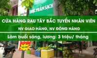 Tuyển nhân viên giao hàng ca sáng – Cửa hàng rau rừng Tây Bắc Tuyển nhân viên giao hàng ca sáng – Cửa hàng rau rừng Tây Bắc
