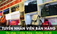 Tuyển nhân viên bán hàng – Thế giới da thật Tuyển nhân viên bán hàng – Thế giới da thật