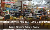 Tuyển nhân viên bán hàng – Cửa Hàng Thiết Bị Điện Quang Trung Tuyển nhân viên bán hàng – Cửa Hàng Thiết Bị Điện Quang Trung