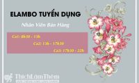 Tuyển nhân viên bán hàng – Hệ thống chăn ga gối Elambo Tuyển nhân viên bán hàng – Hệ thống chăn ga gối Elambo