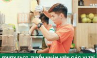 Tuyển quản lý/ giám sát / phục vụ/ pha chế/ thu ngân – Cửa hàng Fruity Fact Tuyển quản lý/ giám sát / phục vụ/ pha chế/ thu ngân – Cửa hàng Fruity Fact