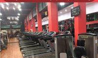 Tuyển nhân viên nhiều vị trí – Phòng tập Texas Hải Yến Tuyển nhân viên nhiều vị trí – Phòng tập Texas Hải Yến