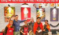 QUẬN ĐỐNG ĐA – TUYỂN GẤP NHIỀU VỊ TRÍ – NHÀ HÀNG HEALTHWICH CAFETERIA QUẬN ĐỐNG ĐA – TUYỂN GẤP NHIỀU VỊ TRÍ – NHÀ HÀNG HEALTHWICH CAFETERIA