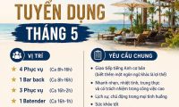 Tuyển nhân viên phục vụ, pha chế – Casa Bay Beach Club Da Nang