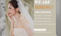 Tuyển quản lý, nv sale, hỗ trợ phòng váy, photoshop – Freida Bridal – Áo cưới Đà Nẵng