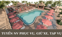 Tuyển nhân viên phục vụ, gửi xe, tạp vụ Tuyển nhân viên phục vụ, gửi xe, tạp vụ