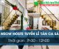 Tuyển nhân viên lễ tân ca sáng – Khách sạn Meow Hostel Tuyển nhân viên lễ tân ca sáng – Khách sạn Meow Hostel