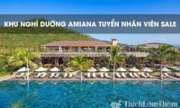 Tuyển đại diện kinh doanh – Khu nghỉ dưỡng Amiana Holiday Tuyển đại diện kinh doanh – Khu nghỉ dưỡng Amiana Holiday