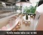 Tuyển nhân viên bếp, phụ bếp, phục vụ, pha chế, tạp vụ – Khu vui chơi trẻ em tại Sun Grand Tuyển nhân viên bếp, phụ bếp, phục vụ, pha chế, tạp vụ – Khu vui chơi trẻ em tại Sun Grand