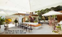 LAIKA Cafe tuyển nhân viên phục vụ bàn LAIKA Cafe tuyển nhân viên phục vụ bàn
