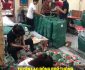Tuyển lao động phổ thông – Công ty in Hải Anh Tuyển lao động phổ thông – Công ty in Hải Anh