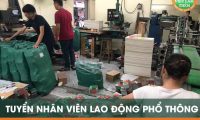 Tuyển nhân viên lao động phổ thông – Công ty in Hải Anh Tuyển nhân viên lao động phổ thông – Công ty in Hải Anh