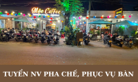 Tuyển nhân viên pha chế, phục vụ bàn Tuyển nhân viên pha chế, phục vụ bàn