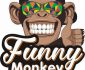 Tuyển nhân viên bán hàng, phục vụ, giao hàng – Cửa hàng Funny Monkey Tuyển nhân viên bán hàng, phục vụ, giao hàng – Cửa hàng Funny Monkey
