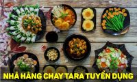 Tuyển nhân viên phục vụ – Nhà hàng Chay Tara Tuyển nhân viên phục vụ – Nhà hàng Chay Tara