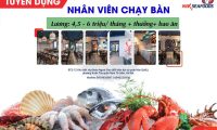 Tuyển nhân viên phục vụ – Nhà hàng hải sản Nikseafood Tuyển nhân viên phục vụ – Nhà hàng hải sản Nikseafood