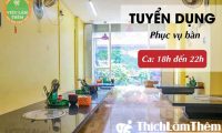 Tuyển nhân viên phục vụ ca tối – Nhà hàng King Hotpot Tuyển nhân viên phục vụ ca tối – Nhà hàng King Hotpot