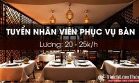 Tuyển nhân viên phục vụ – Nhà Hàng Mazzi Việt Nam Tuyển nhân viên phục vụ – Nhà Hàng Mazzi Việt Nam
