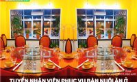 Tuyển nhân viên phục vụ bàn, phụ bếp bao ăn ở – Nhà hàng Sơn Lâm Tuyển nhân viên phục vụ bàn, phụ bếp bao ăn ở – Nhà hàng Sơn Lâm