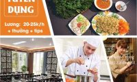 Tuyển nhân viên phục vụ – Nhà hàng Vũ Bảo Tuyển nhân viên phục vụ – Nhà hàng Vũ Bảo