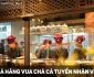 Tuyển nhân viên phụ bếp, phục vụ – Nhà hàng Vua Chả Cá Tuyển nhân viên phụ bếp, phục vụ – Nhà hàng Vua Chả Cá