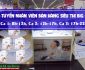 Tuyển nhân viên bán hàng theo ca – Siêu thị Big C Thăng Long Tuyển nhân viên bán hàng theo ca – Siêu thị Big C Thăng Long
