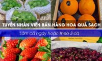 Tuyển nhân viên bán hàng, thu ngân, gói hàng – Cửa hàng Bánh Mứt Tuyển nhân viên bán hàng, thu ngân, gói hàng – Cửa hàng Bánh Mứt