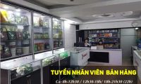 Tuyển nhân viên bán hàng – Cửa hàng thực phẩm Navy Tuyển nhân viên bán hàng – Cửa hàng thực phẩm Navy