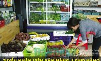 Tuyển nhân viên bán hàng, ship hàng – Công ty Đông Dương Tuyển nhân viên bán hàng, ship hàng – Công ty Đông Dương