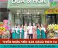 Tuyển nhân viên bán hàng – Hệ thống hoàng ngân quả & hoa Tuyển nhân viên bán hàng – Hệ thống hoàng ngân quả & hoa
