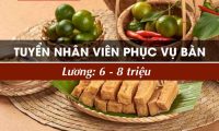 Tuyển nhân viên phục vụ bàn – Bún đậu 29 Tuyển nhân viên phục vụ bàn – Bún đậu 29